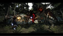 Dragon's Dogma
