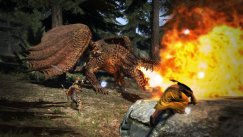 Dragon's Dogma