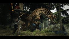 Dragon's Dogma