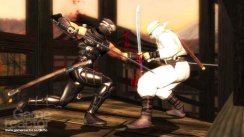 Ninja Gaiden Sigma