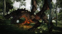 Dragon's Dogma
