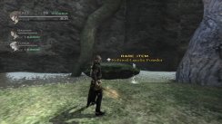 The Last Story