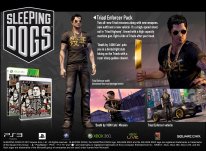 Sleeping Dogs