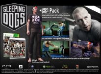Sleeping Dogs