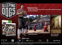 Sleeping Dogs