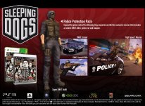 Sleeping Dogs