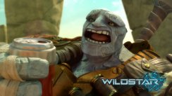 Wildstar
