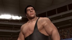 WWE Legends of Wrestlemania