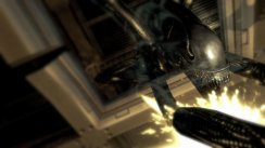 Aliens vs Predator
