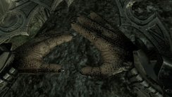 Aliens vs Predator