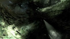 Aliens vs Predator