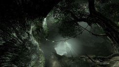 Aliens vs Predator