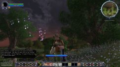 The Lord of the Rings Online