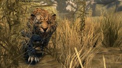 Cabela's Dangerous Hunts 2011