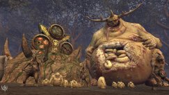 Warhammer Online: Age of Reckoning