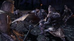 Dragon Age: Origins