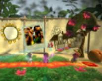 Little Big Planet