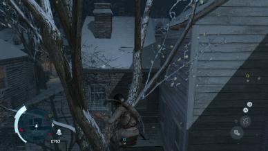 Assassin's Creed III