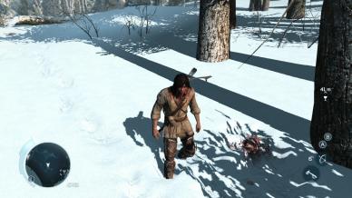 Assassin's Creed III