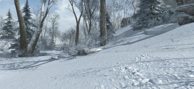 Assassin's Creed III