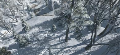 Assassin's Creed III