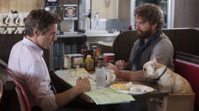 Due Date