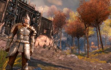 Guild Wars 2