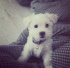 Joeyvind