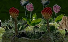 media/00/yetitmoves_220022t.jpg