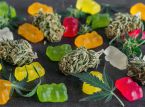 Afkriminalisering af cannabis viste sig ikke at &oslash;ge brugen, men kommercialiseringen af stoffet g&oslash;r
