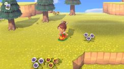 media/01/animalcrossing_3030163t.jpg