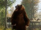 Disney World står over for midlertidig nedlukning på grund af bjørnens indtrængen