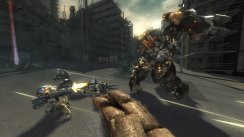 media/04/heltnyestormrise_billeder_170498t.jpg