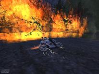 Related Image