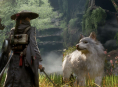 Beast of Reincarnation vil have store omr&aring;der at udforske, men er ikke open world