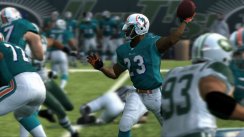 media/07/maddennfl10_180780t.jpg