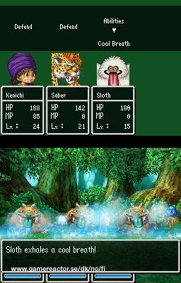 Dragon Quest IX: Sentinels of the Starry Skies