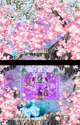 Dragon Quest IX: Sentinels of the Starry Skies
