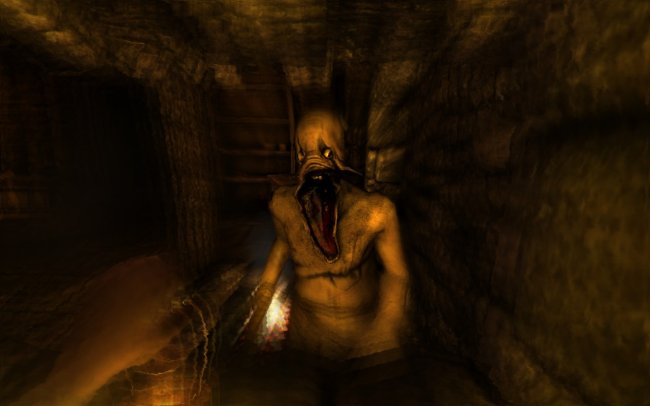 Amnesia Collection