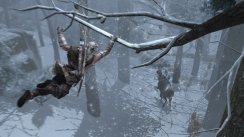 media/13/assassinscreed3_701301t.jpg