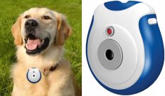 Digitalkamera til hunden