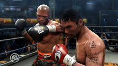 media/13/morefightnight_181340t.jpg