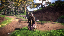 media/16/wolong_3971633t.png
