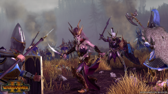 media/17/darkelvesshown_2141783t.png