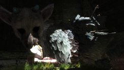 media/19/lastguardian_billeder_241961t.jpg