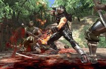 media/19/ninjagaiden2_141917t.jpg