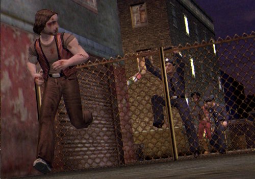 The Warriors