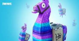 media/20/epicdetailsnew_2472053t.jpg