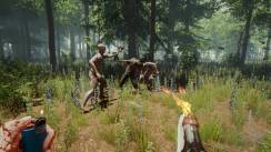 media/20/forest_2462043t.jpg