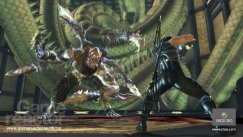 media/22/ninjagaiden2_billeder_132265t.jpg